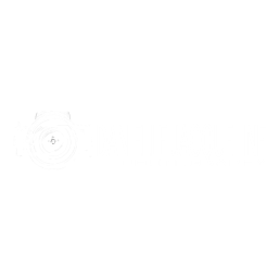 photographer-logo-design-for-content-development-partnerships-in-surprise-az