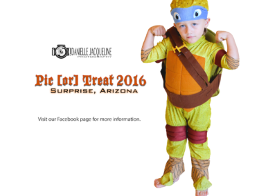 ninja-turtle-promotion-in-west-phoenix-for-local-photographers-pic-or-treat-event-display-advertisement-for-social-media-promotions-manager
