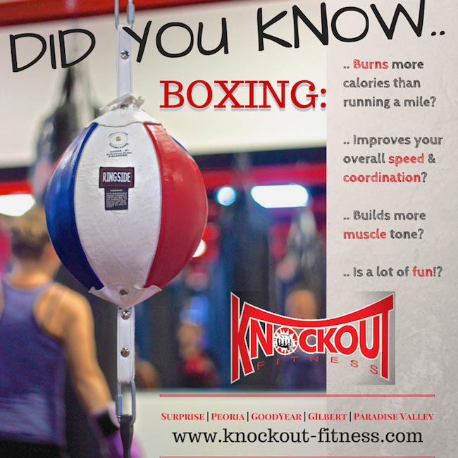 info graphic display advertising strategy memphis tn creative director for kickboxing gym asking questions to combat fitness misconceptions and acquire new gym members original imagery