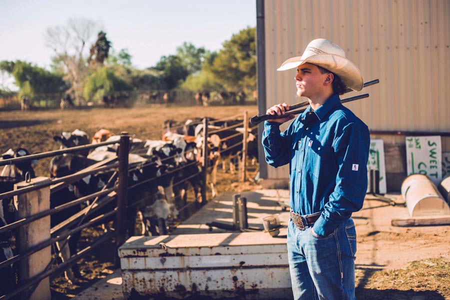 rancher herding cattle holding bolt cutters over should watching sun set on midsouth milk farm for apparel images for website by photographer near memphis tn