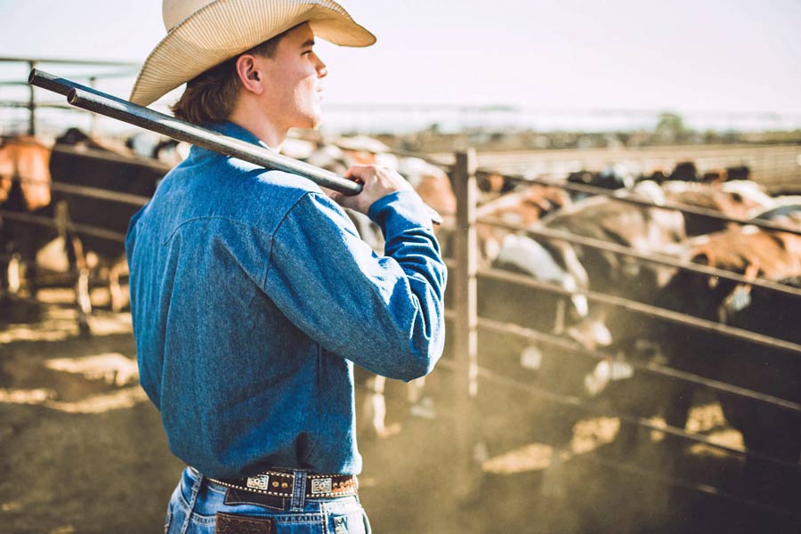 bolt cutters on right shoulder of local cattle rancher overseeing cattle before dusk preparing to head in for dinner reflecting on the day written by creative strategist jordan trask president of prefocus solutions near memphis tennessee helping businesses position their quality products online for consumer trust 