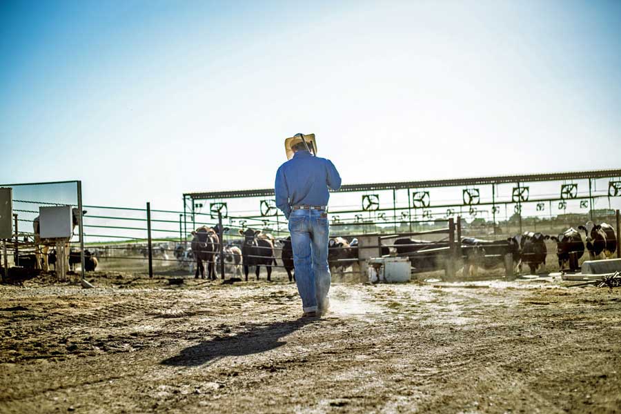 original rancher photos denim outfit local supplier lifestyle imagery for website and product content by creative strategist near memphis tn jordan trask