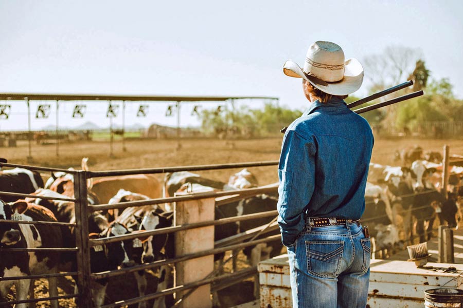 bolt cutters over the shoulder of denim clothed rancher as the day closes sun sets and cows kick up dust for product branding photo shoot with creative director Jt of prefocus solutions