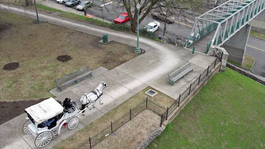 horse and buggy driving down riverside park walks near memphis suffrage monument and local law school by mississippi